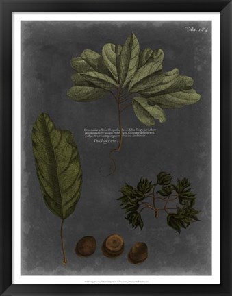 Framed Foliage Dramatique VI Print