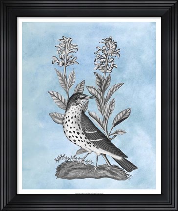 Framed Bird on Blue I Print
