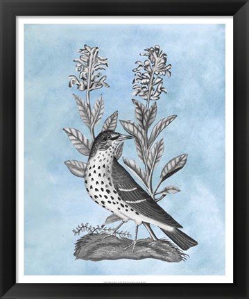 Framed Bird on Blue I Print