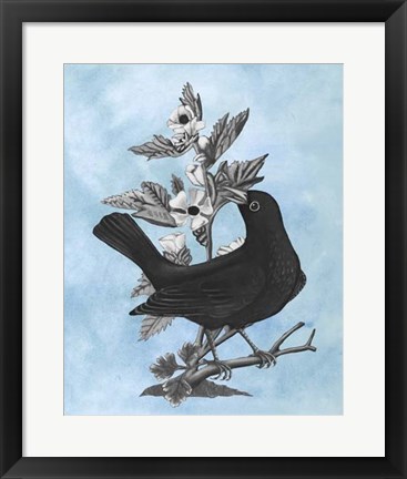 Framed Bird on Blue II Print