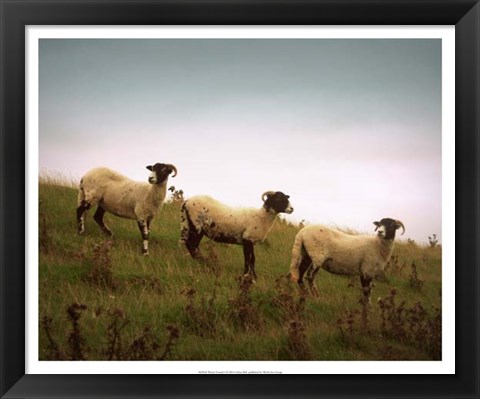 Framed Wooly Friends I Print