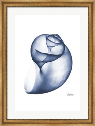 Framed Indigo Water Snail Print