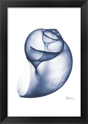 Framed Indigo Water Snail Print