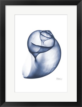 Framed Indigo Water Snail Print