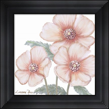 Framed Pink Poppies 1 Print