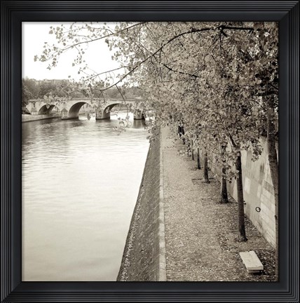 Framed Promenade Seine II Print