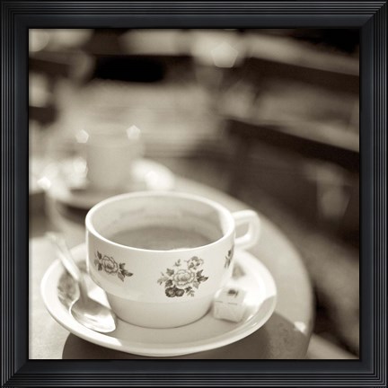 Framed Jardin du Luxembourg II Print