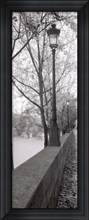 Framed Park Print
