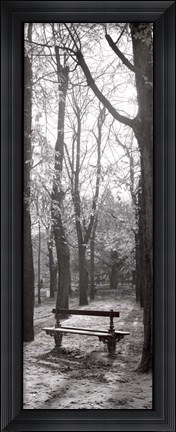 Framed Jardin du Luxembourg Banc Print