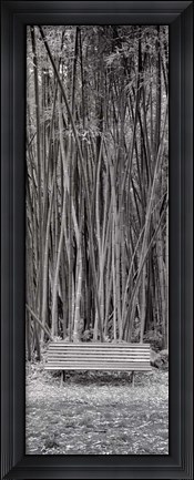 Framed Orto Botanico I Print