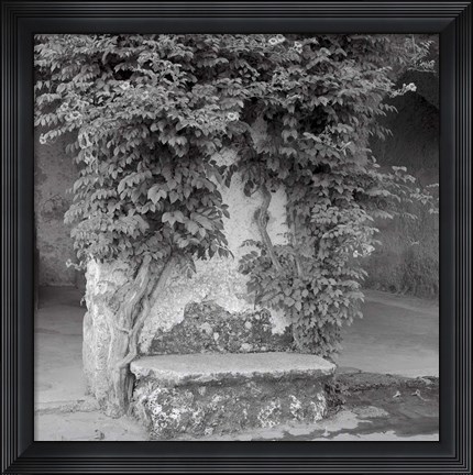 Framed Campagnia II Print