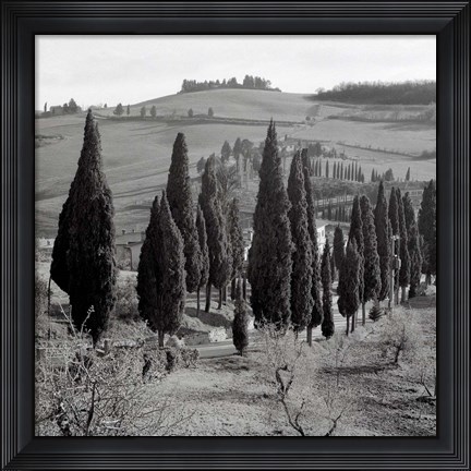 Framed Tuscany IV Print