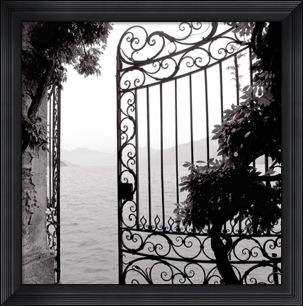 Framed Lake Vista III Print