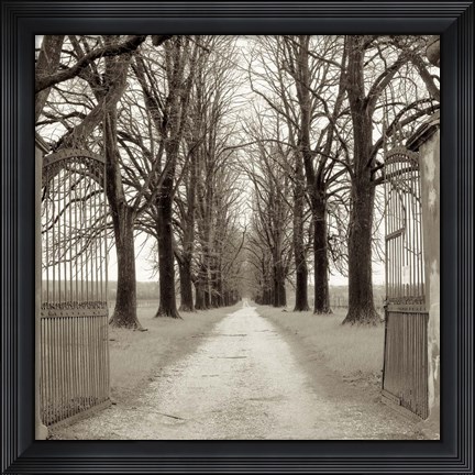 Framed Veneto Giardini I Print