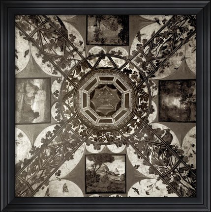 Framed Giardini Italiano V Print