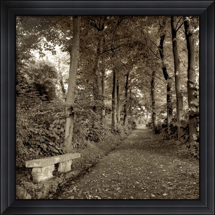 Framed Fiesole Giardini II Print