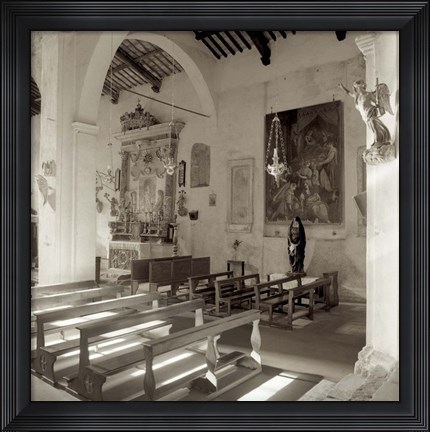 Framed Banogregio I Print