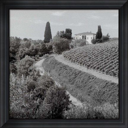 Framed Tuscany V Print