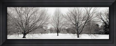 Framed Winter Garden I Print