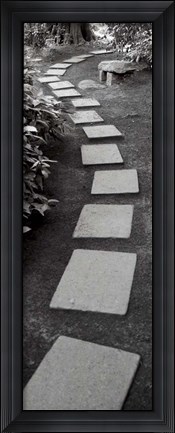 Framed Japanese Garden I Print