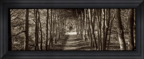 Framed Hampton Gates Promenade II Print
