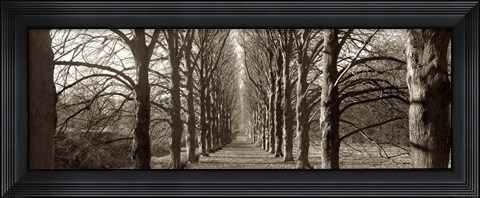 Framed Hamptom Gates Promenade I Print