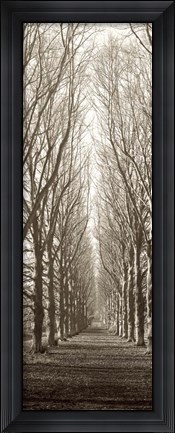 Framed Hampton Gates Promenade Print