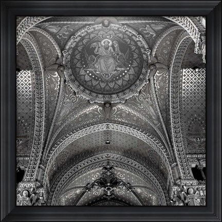 Framed Lyon I Print