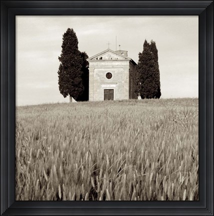Framed Tuscany IX Print