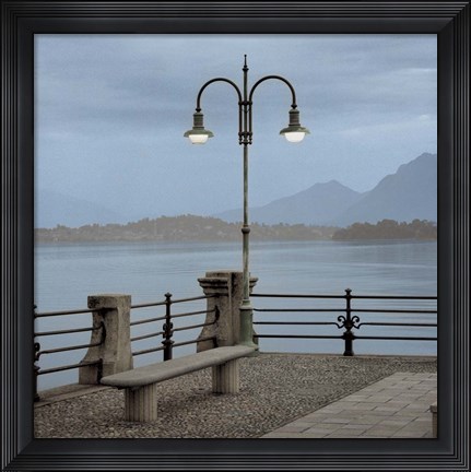 Framed Lake Vista V Print