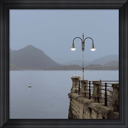 Framed Lake Vista VI Print