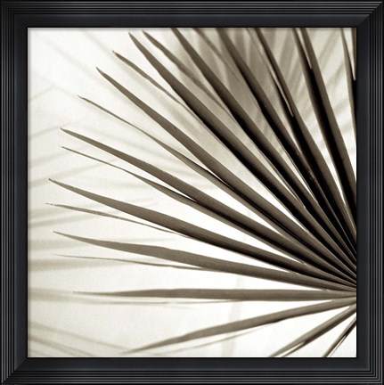 Framed Florison 66 Print