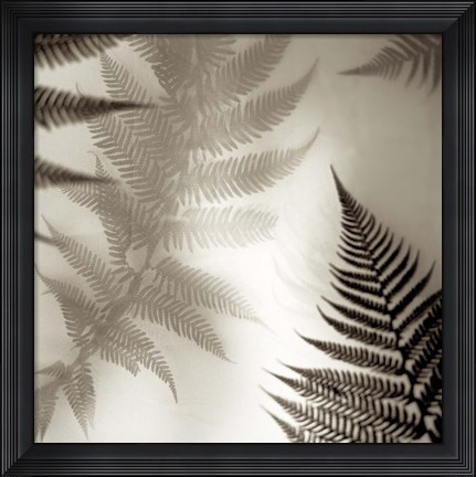 Framed Florison 65 Print