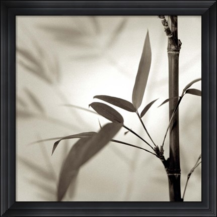 Framed Florison 64 Print