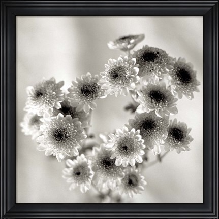 Framed Florison 58 Print