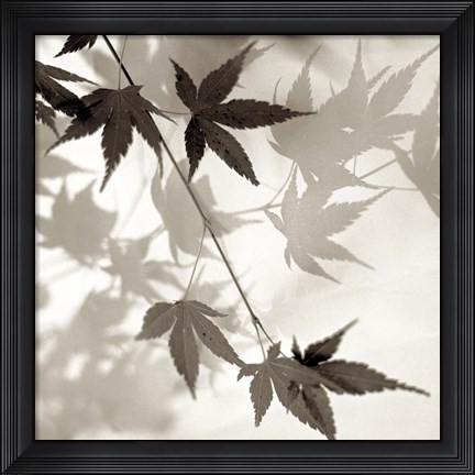 Framed Florison 63 Print