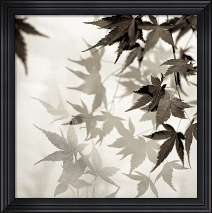 Framed Florison 57 Print