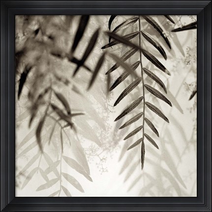 Framed Florison 56 Print