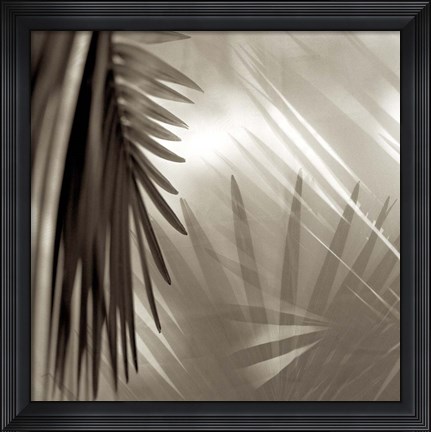 Framed Florison 55 Print