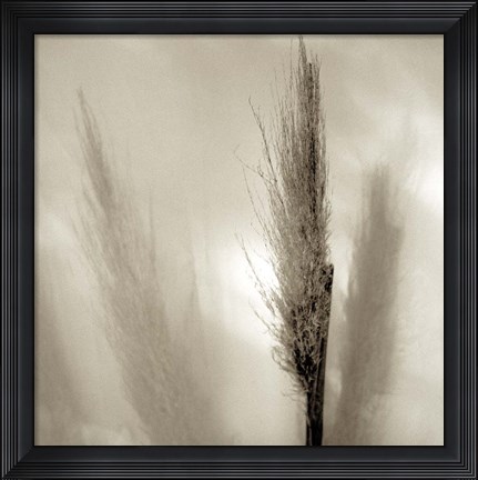Framed Florison 53 Print