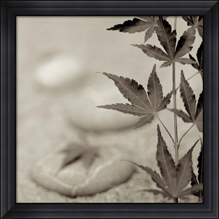 Framed Florison 61 Print