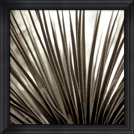 Framed Florison 48 Print