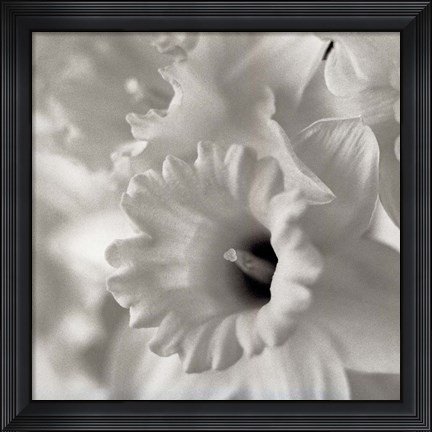 Framed Florison 45 Print