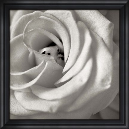 Framed Florison 43 Print