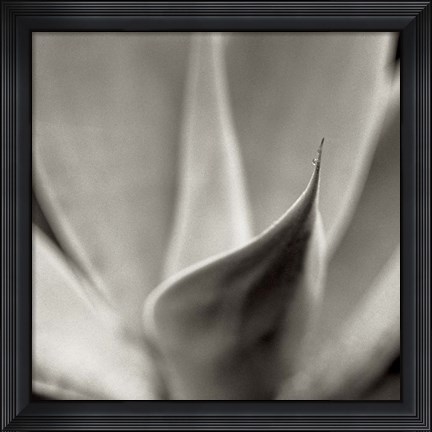 Framed Florison 42 Print