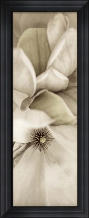 Framed Florison 70 Print