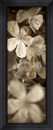Framed Florison 69 Print