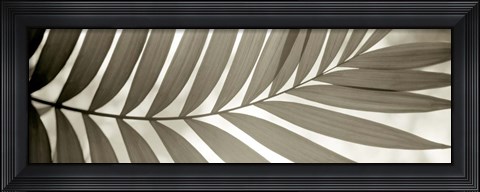 Framed Florison 98 Print