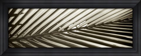 Framed Florison 100 Print