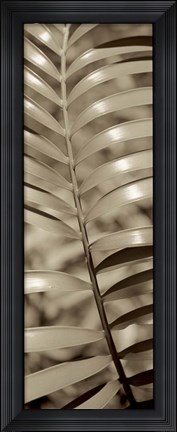 Framed Florison 92 Print